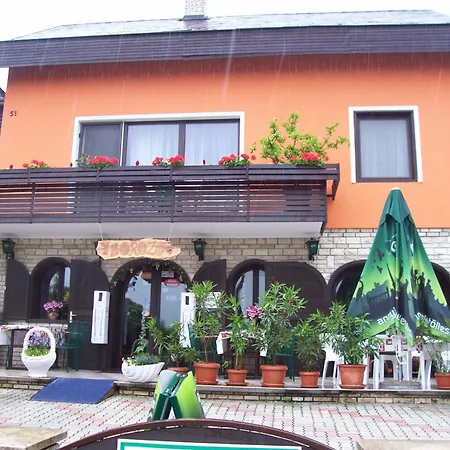Guest house Julia Vendeghaz *