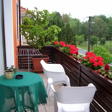 Guest house Julia Vendeghaz *